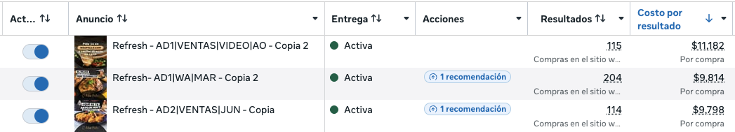 Métricas reales de la campaña